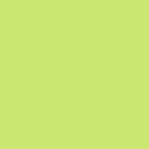 Tecido Tricoline Bahamas TINTO C059 Verde Pistache